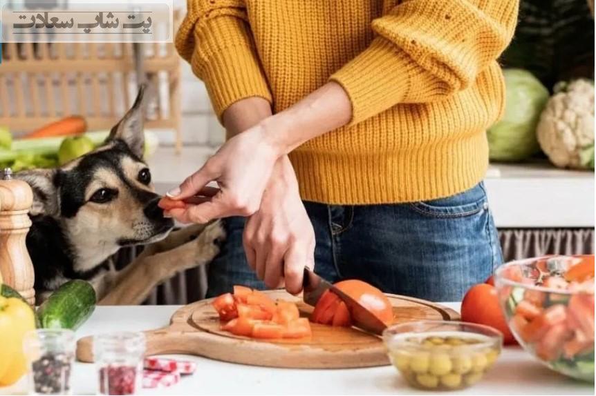 تغییر اشتهای سگ در بهار